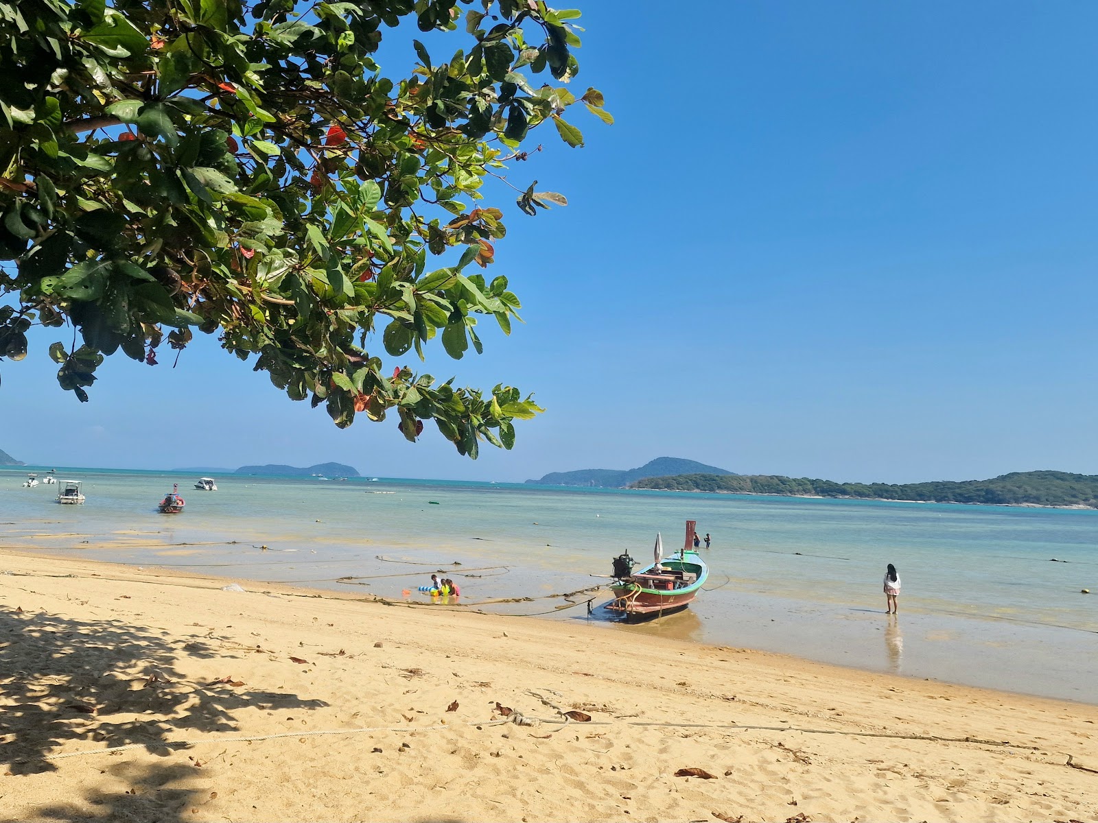 Fresh seafood at Rawai Market Phuket Thailand