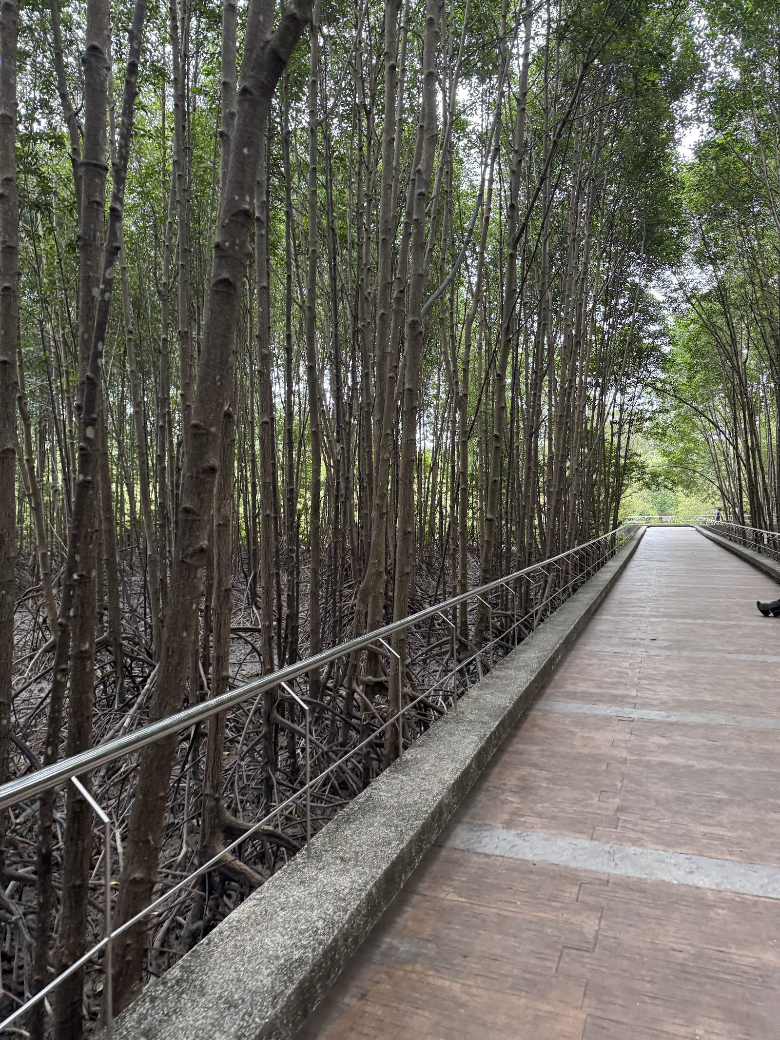 Saphan Hin Park